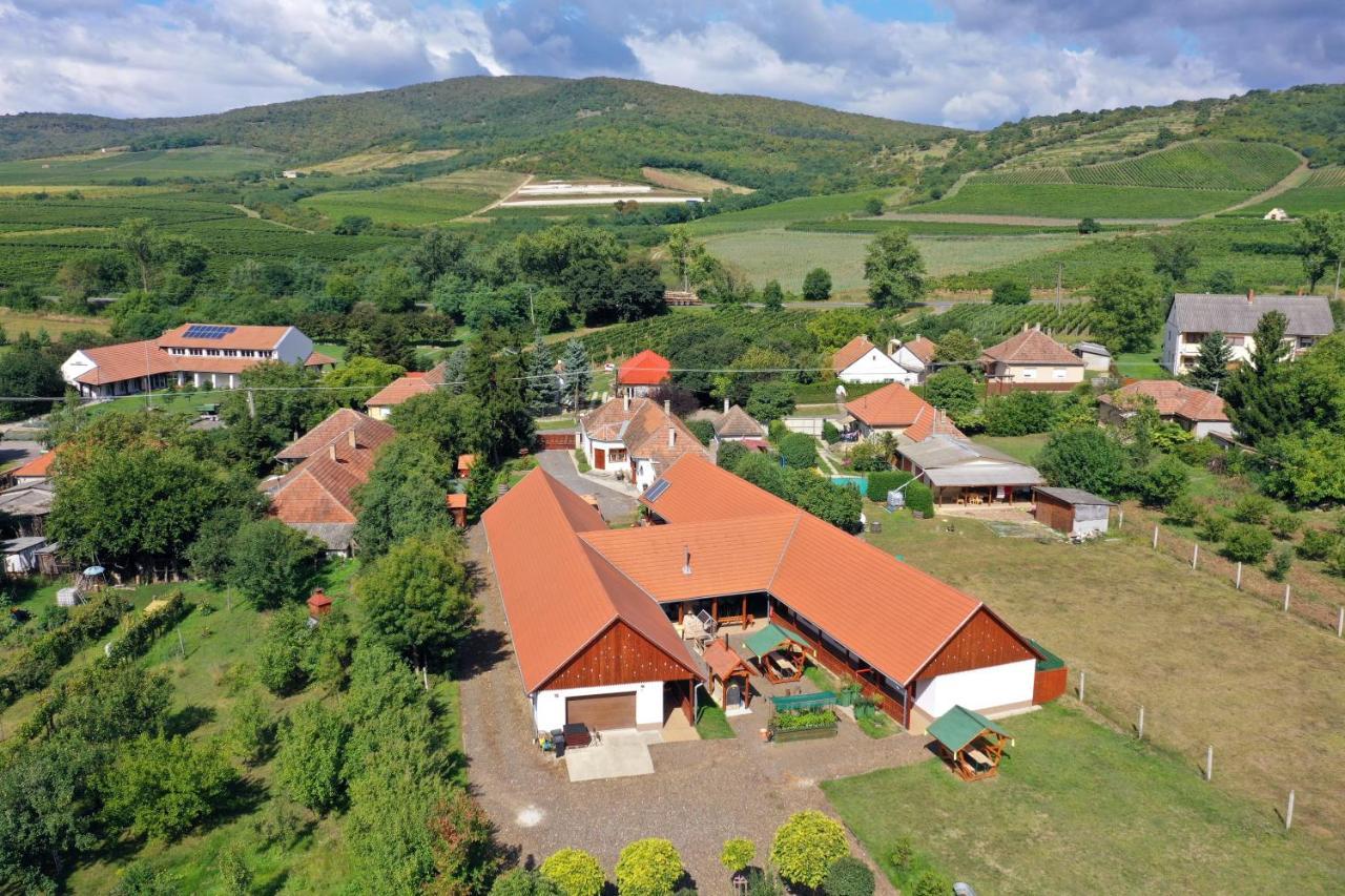 Nyakiglab Villa Szegi Zewnętrze zdjęcie