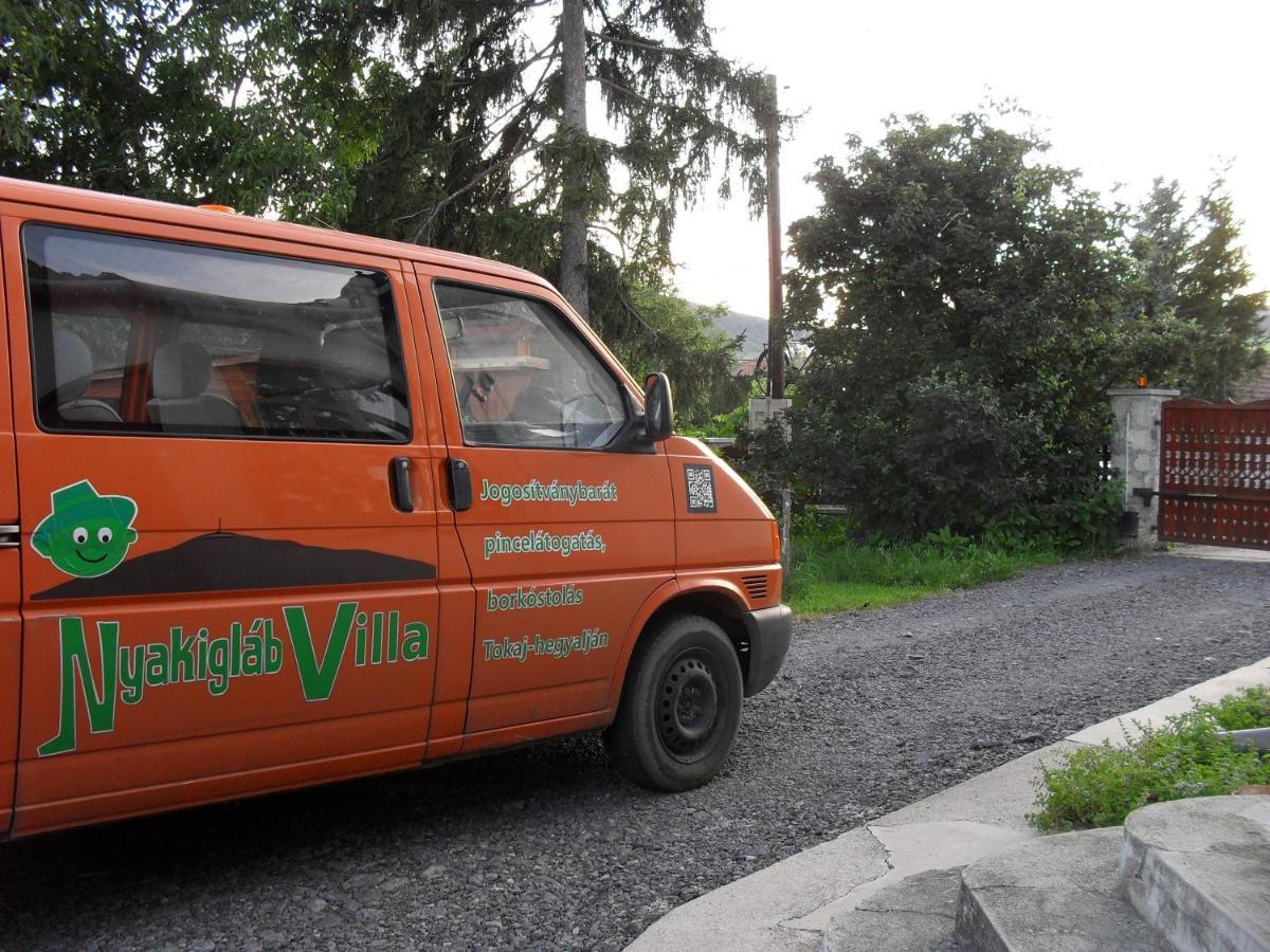 Nyakiglab Villa Szegi Zewnętrze zdjęcie